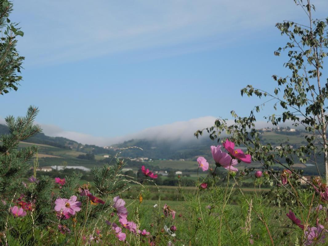 Bed and Breakfast Relais De Navon Saint-Joseph  Экстерьер фото